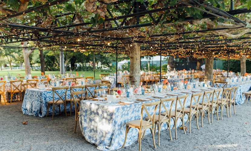 napa wedding reception under vine arbor with twinkle lights