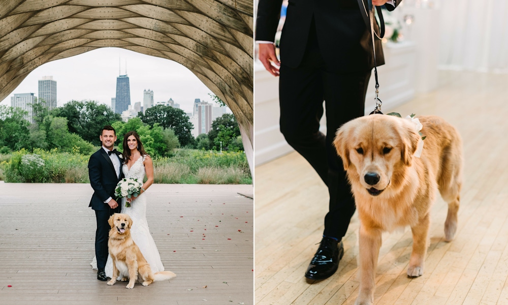 Couple on wedding day with dog