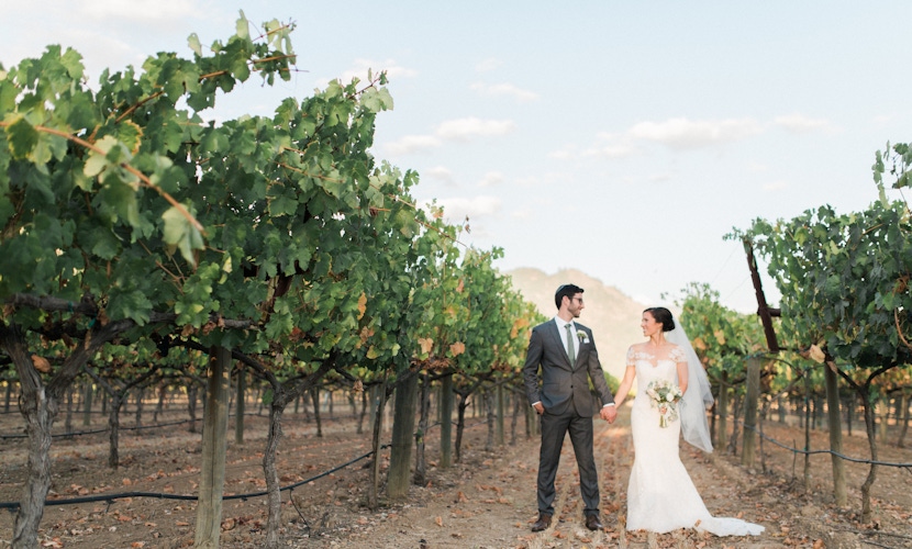 bride and groom in napa valley solage vineyard vines