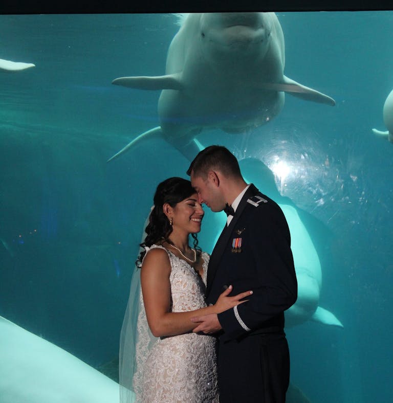 Bride and groom posing in front of shark tank