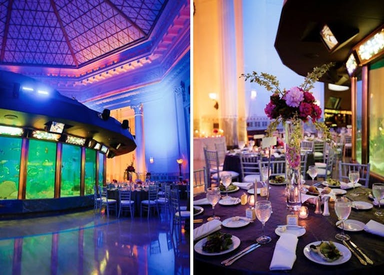 Two event spaces at Shedd Aquarium, outdoor dining area with pink floral centerpiece | PartySlate