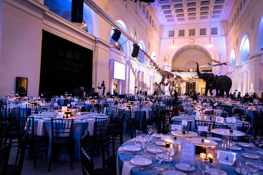 Banquet tables in Field Museum with Elephant and dinosaur fossil in background.