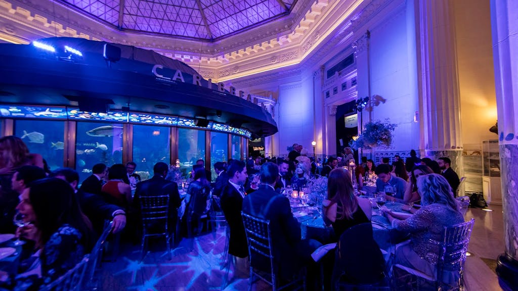 Guests gather for sit-down dinner at Shed Aquarium in front of giant curved fish tank. 