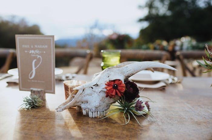 An animal skull sits next to a red flower on a wooden table with the sky in the background