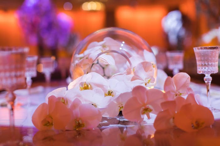 White orchid wedding with small white orchids on a table in a glass bubble