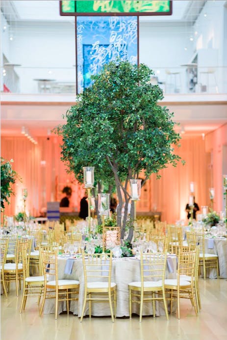 A green tree acts as a centerpiece