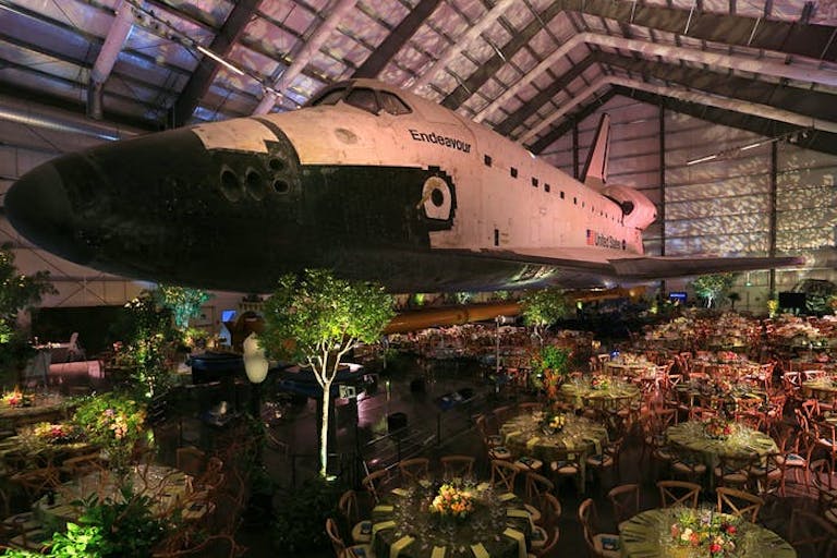 A massive space with a plane hanging from the ceiling and greenery beneath it