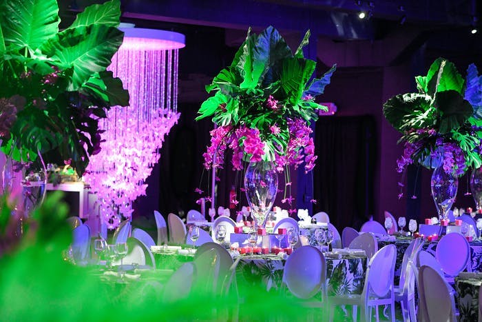 A room washed in a purple light with greenery accents lit up.