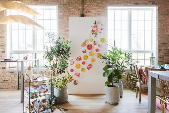 A lofty room with windows and brick walls. A photo backdrop with pieces of fruit drawn on and tall plants on either side.