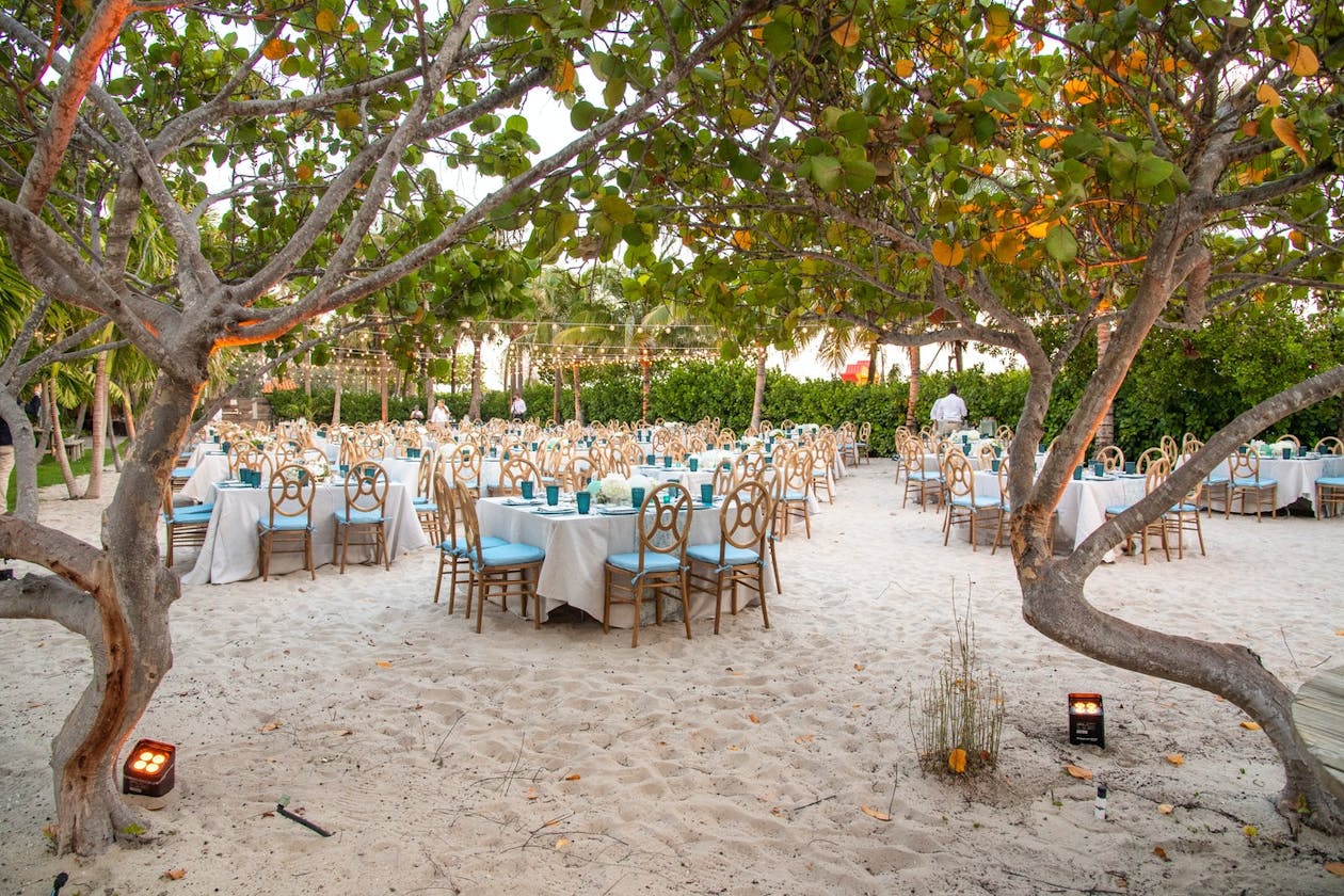 10 Tropical Theme Party Ideas For A Celebration In Paradise Partyslate 10 Tropical Theme Party Ideas For A Celebration In Paradise Partyslate