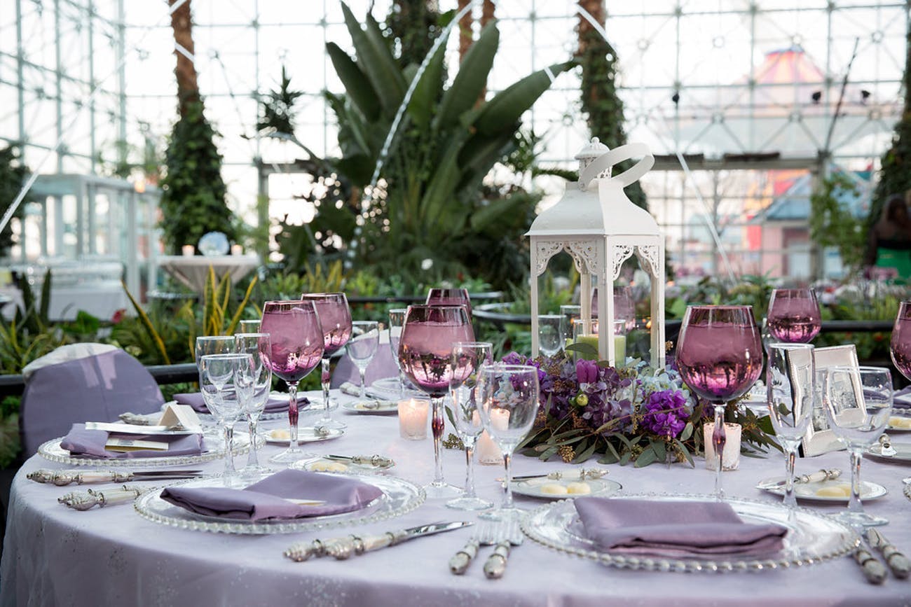 Violet Table with Maroon Glasses and Palm Trees in the Background