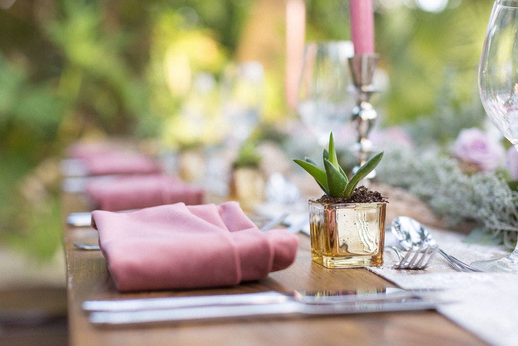 Delicate Pink Wedding at Miami Beach Edition in Miami Beach, FL With Succulent Centerpieces