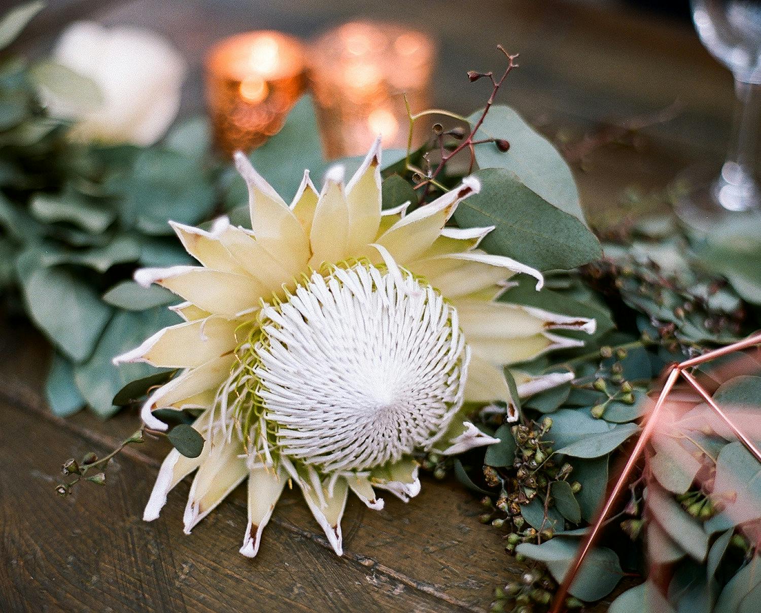 Closeup of Pale Gold King Protea Flower at Pastel Boho Wedding