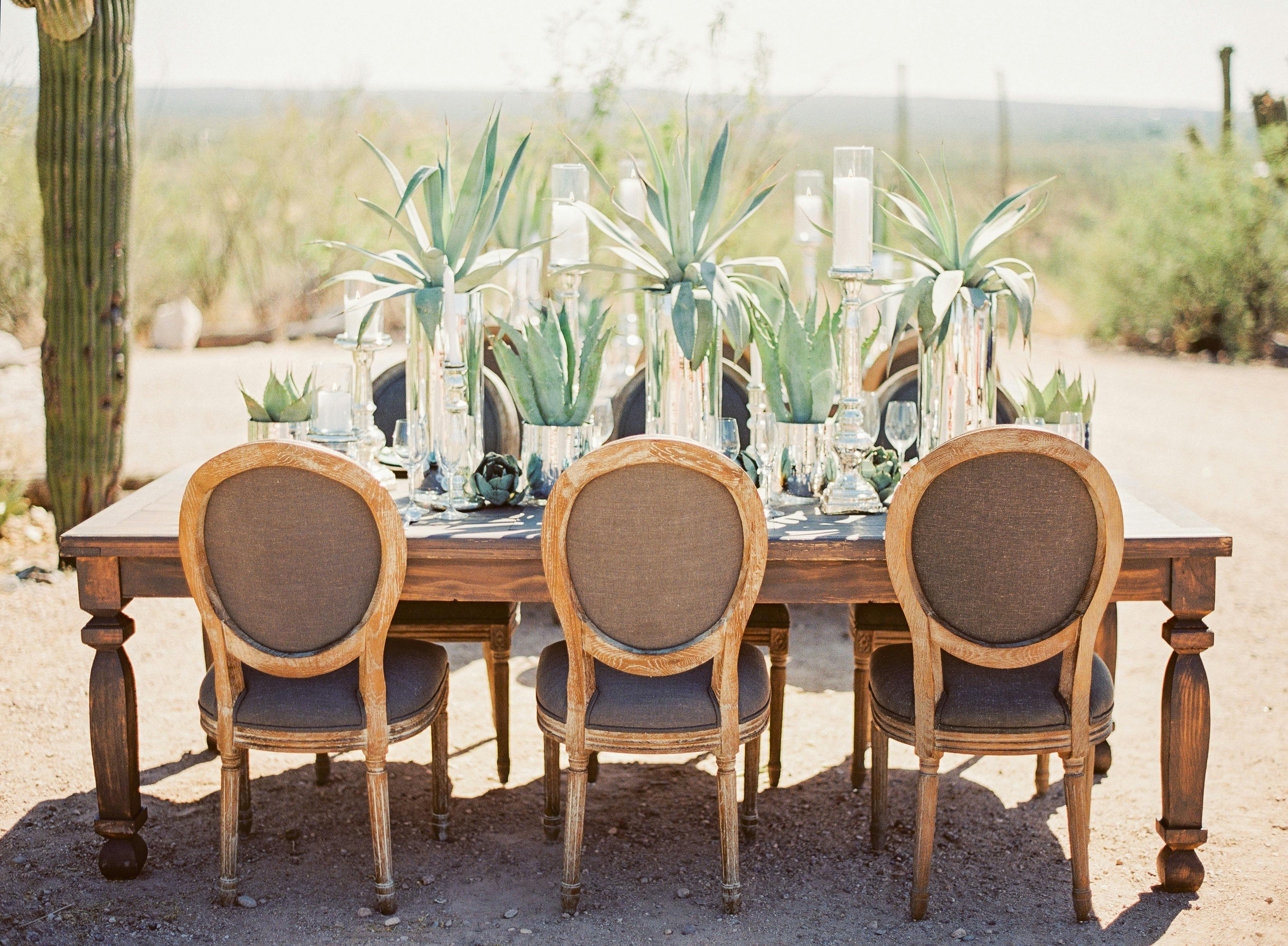 Tanque Verde Ranch Elopement in Tucson, AZ With Succulent Wedding Centerpieces