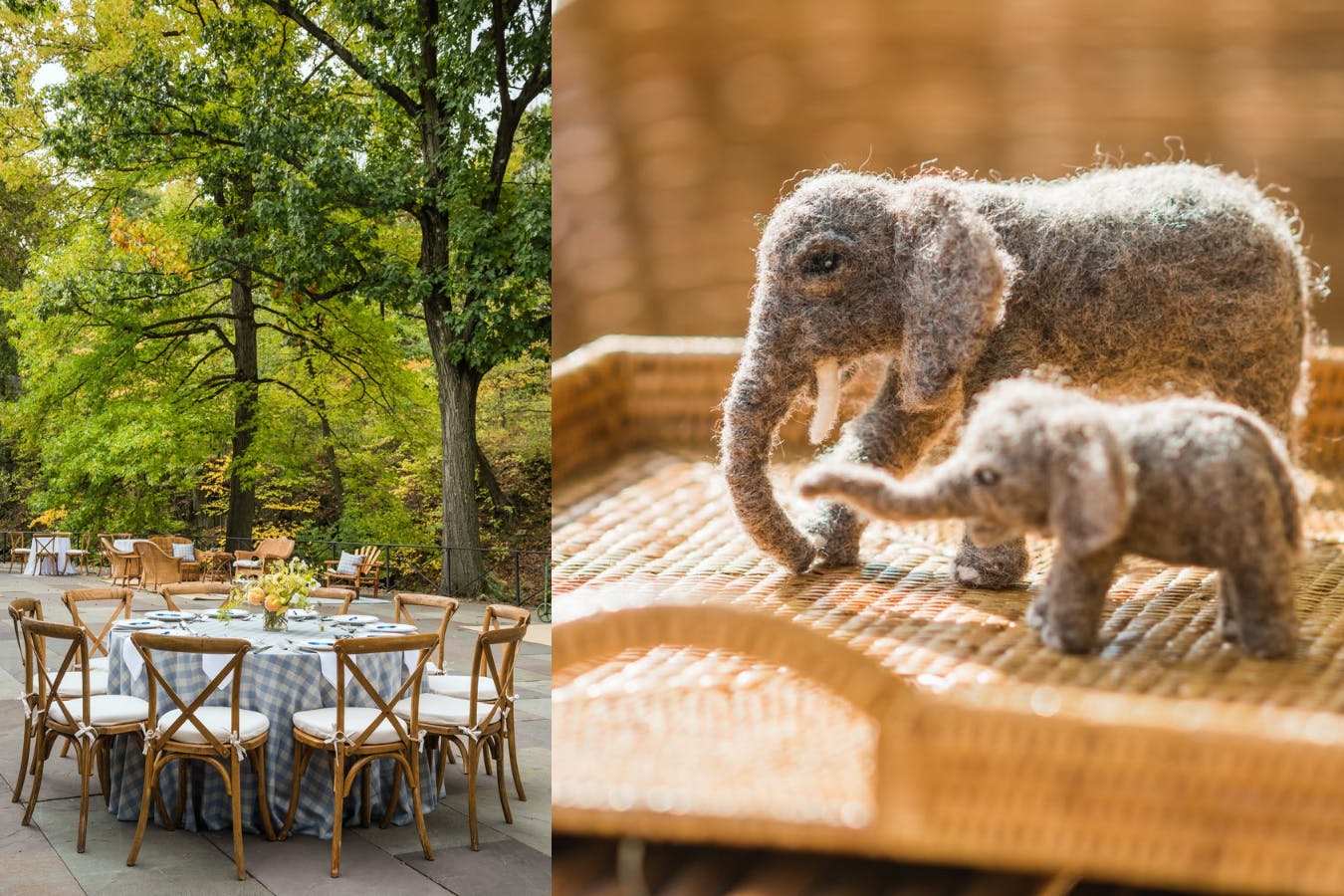 Outdoor Baby Shower With Elephant Décor | PartySlate
