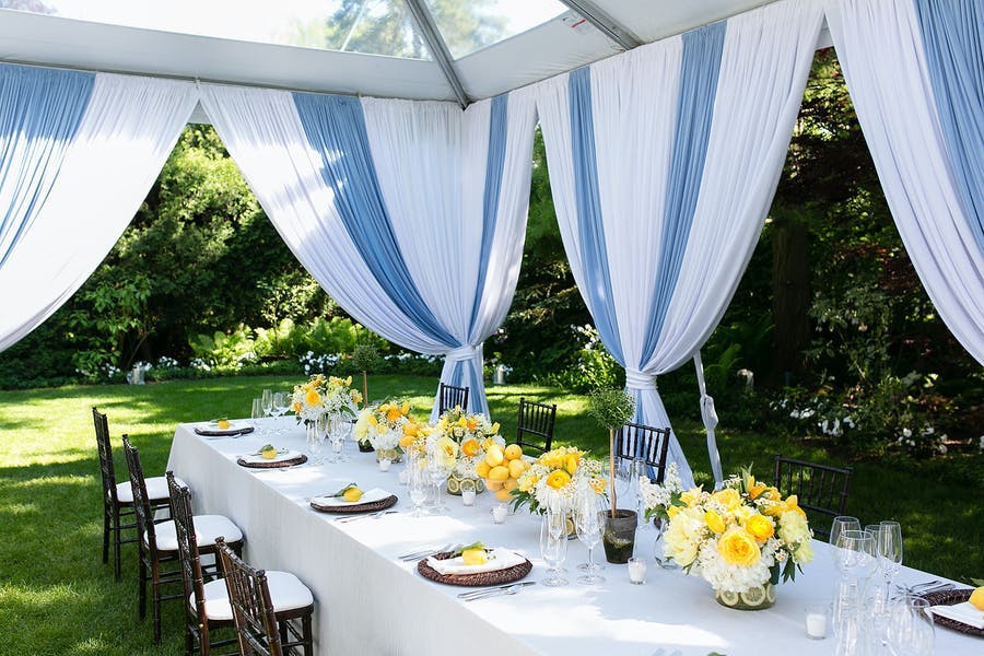 Blue and white backyard micro wedding with yellow floral accents | PartySlate