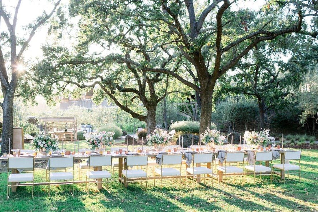 Intimate vineyard outdoor wedding | PartySlate