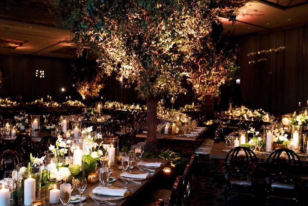 Ballroom With Enchanted Forest Wedding Theme and a Towering Treetop and Candlelight | PartySlate