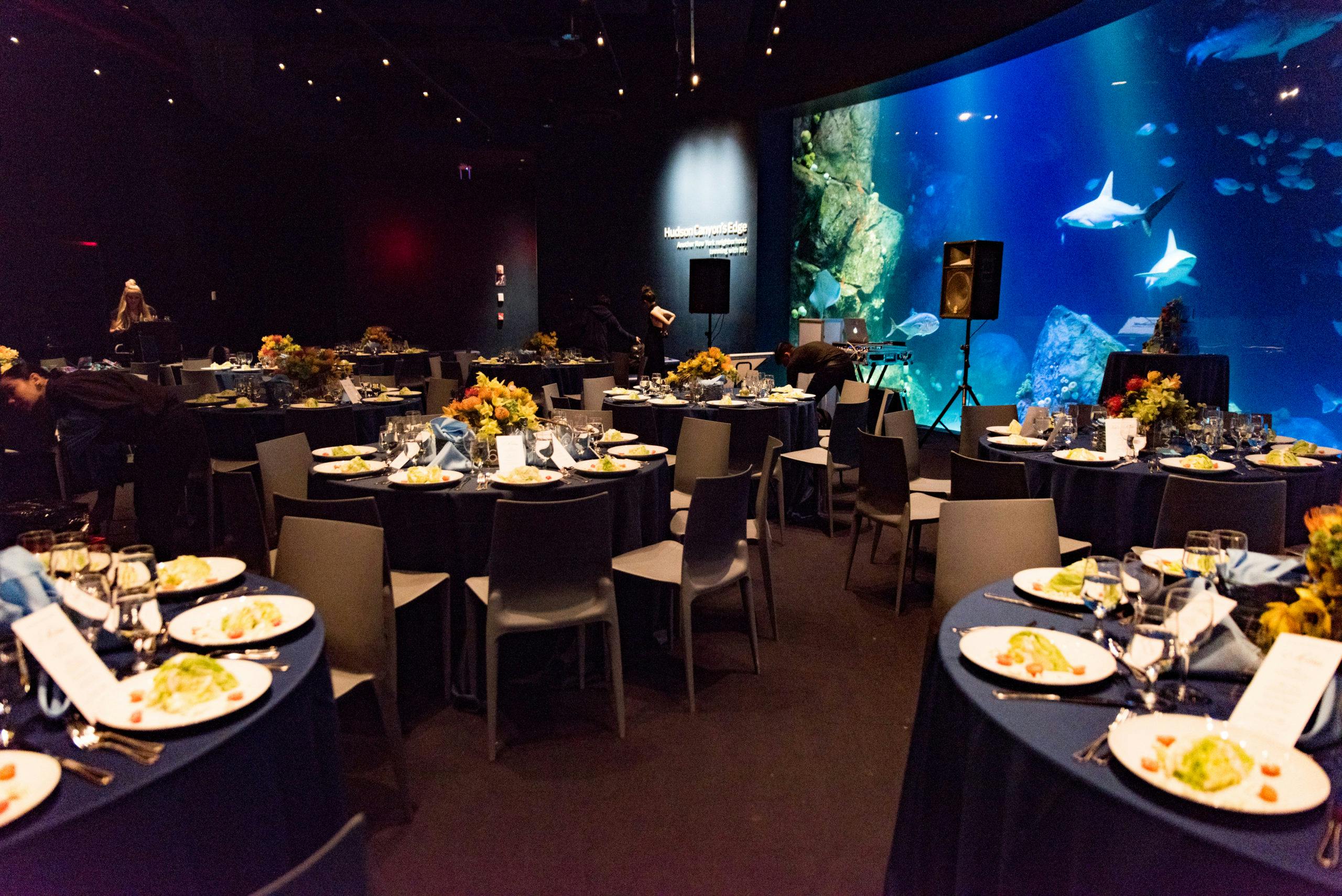 Kids First Birthday at the New York Aquarium Underwater Extravaganza with Sea Creatures Swimming By the Glass Windows and Tables Laid with Black Table Cloths | PartySlate