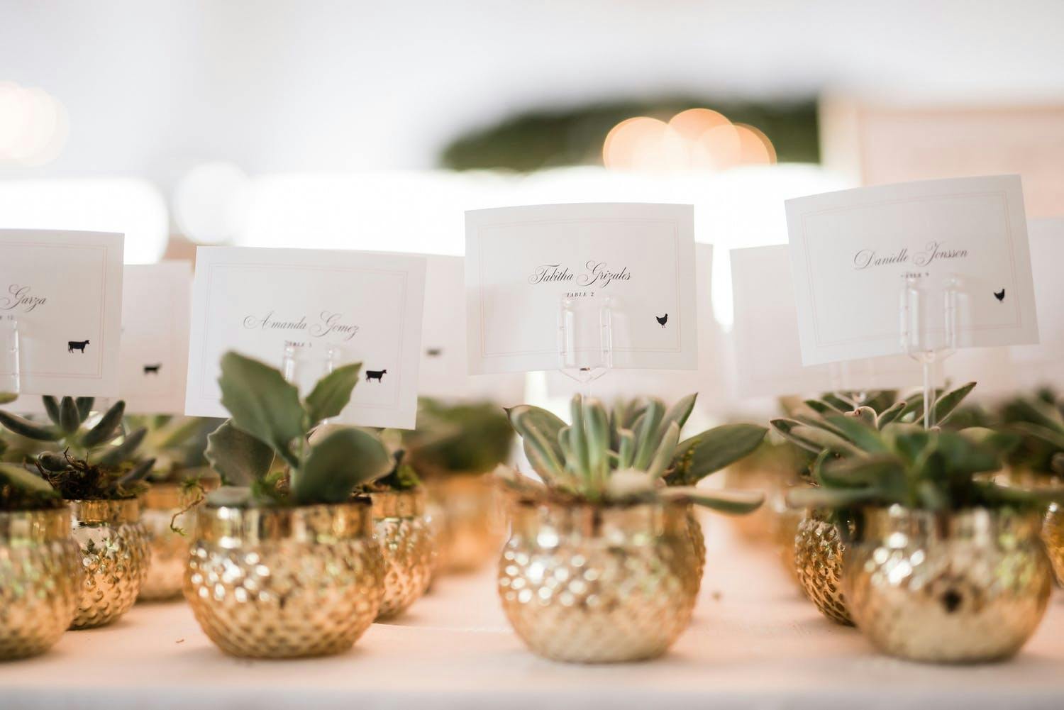 White Wedding Escort Cards Attached to Gold-Potted Plants | PartySlate