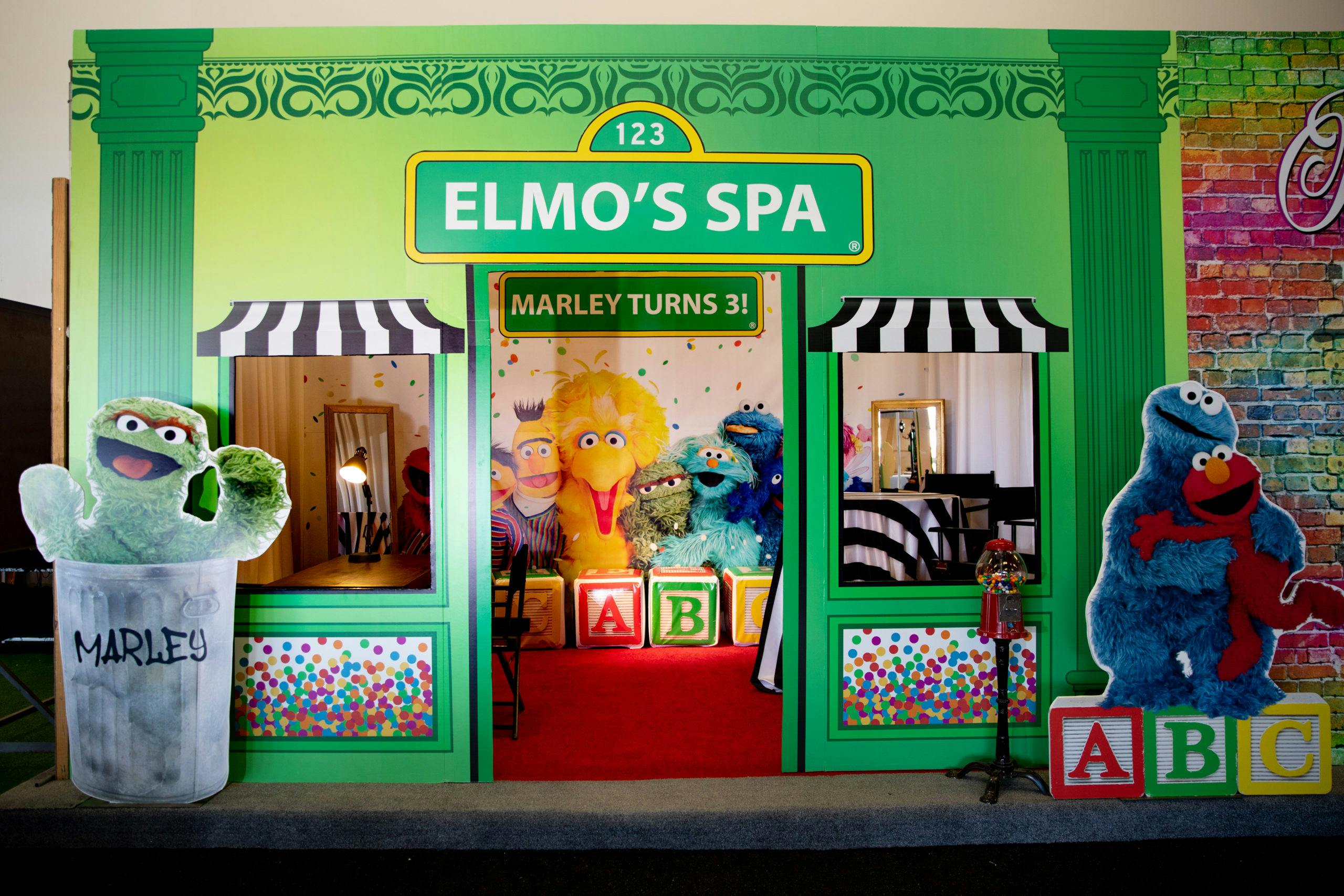 Kids Birthday Party Ideas With Elmo's Spa Photo Backdrop | PartySlate