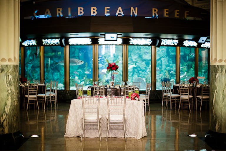 Glam Wedding Reception With Sweetheart Table Positioned in Front of Caribbean Reef Exhibit