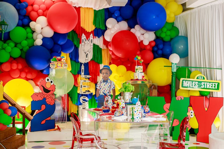 Elmo-Themed Kid's Birthday Party by Events by Boosh | PartySlate