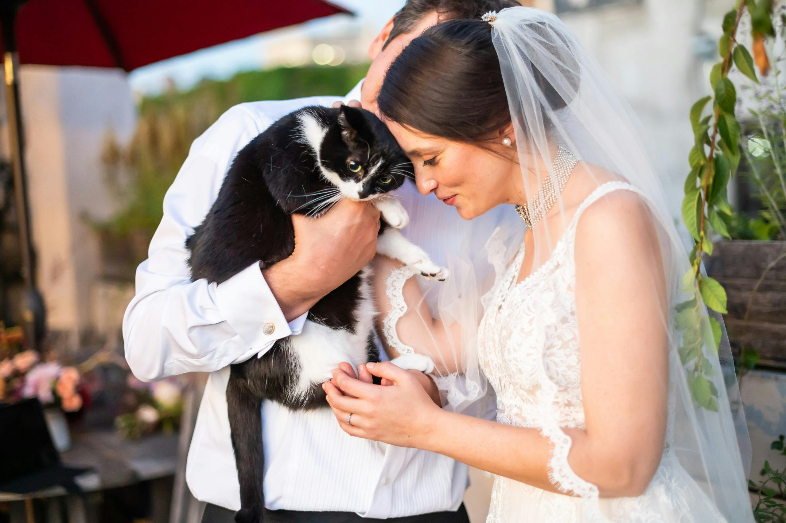 Bride and groom holding black cat l PartySlate