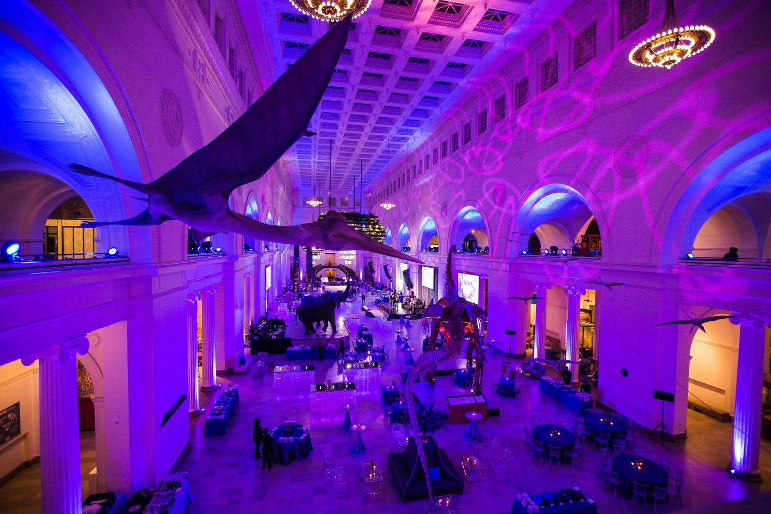 Corporate event at Field Museum's Stanley Hall with flying pterosaurs and purple uplighting | PartySlate
