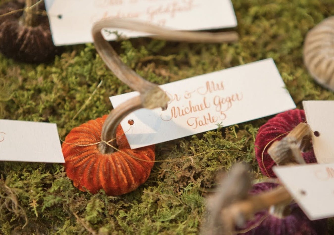 Velvet pumpkin fall wedding escort cards | PartySlate