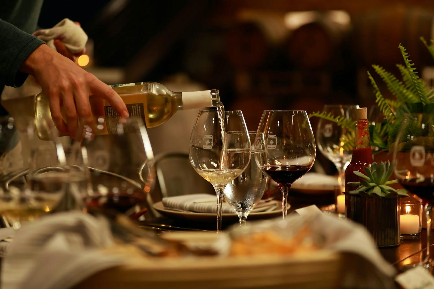 Wine pairings at intimate winery dinner | PartySlate