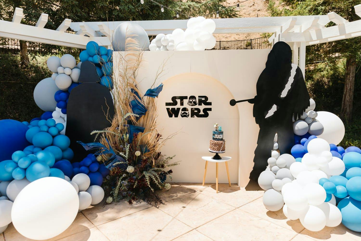 Star Wars-themed 5th birthday party with pampas grass décor | PartySlate