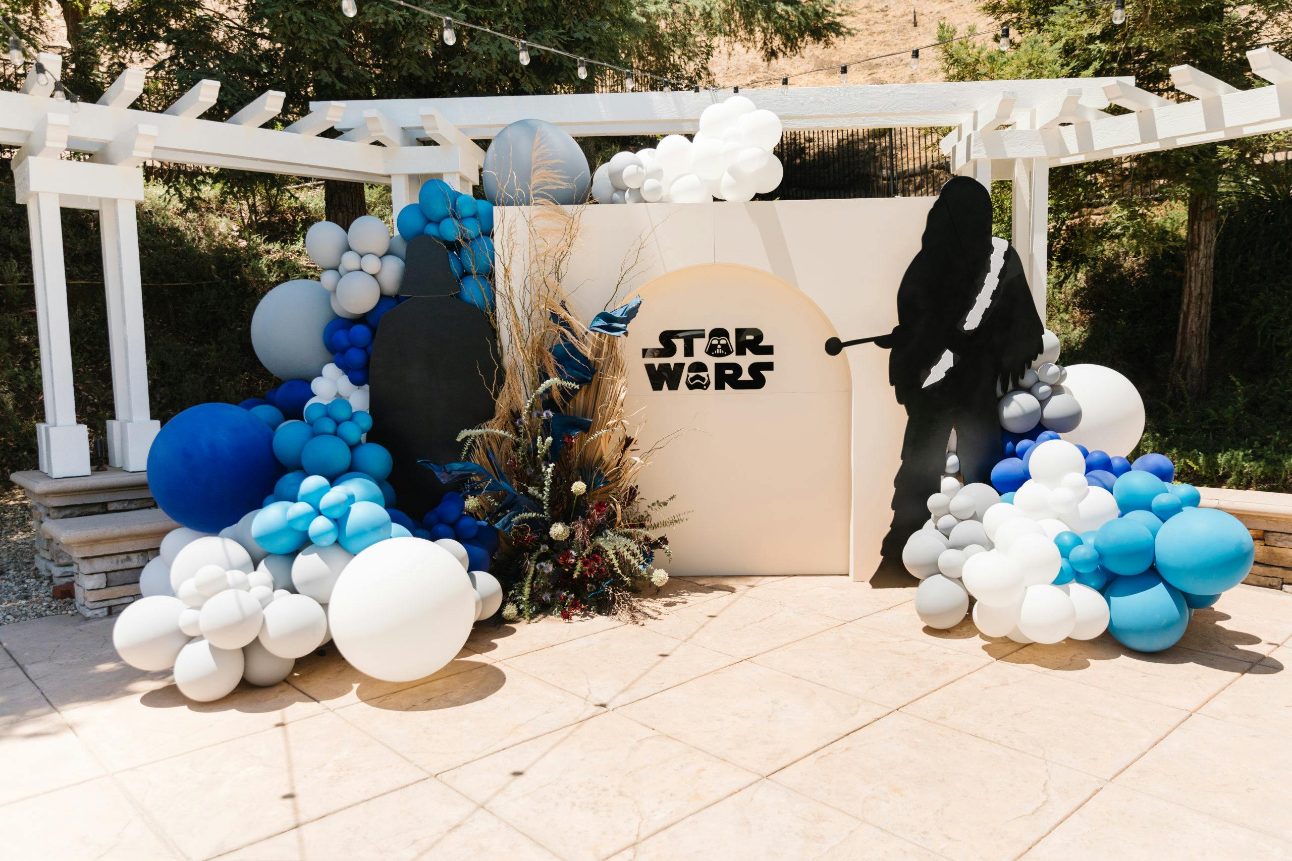 Star Wars Themed 5th Birthday