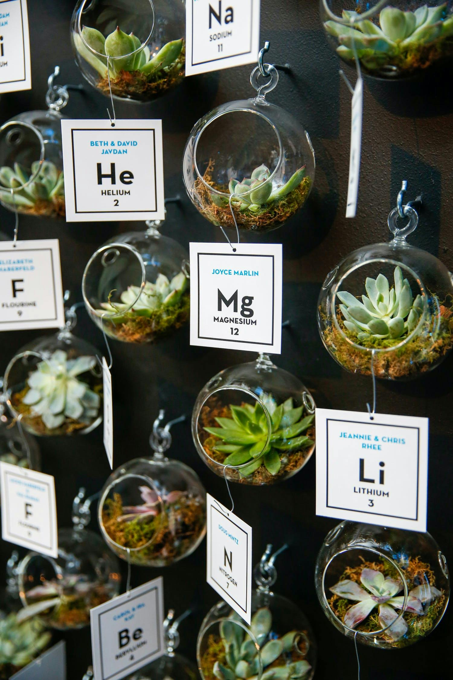 Scientific Party Theme with Terrarium Wall Labeled with Periodic Table Signs | PartySlate