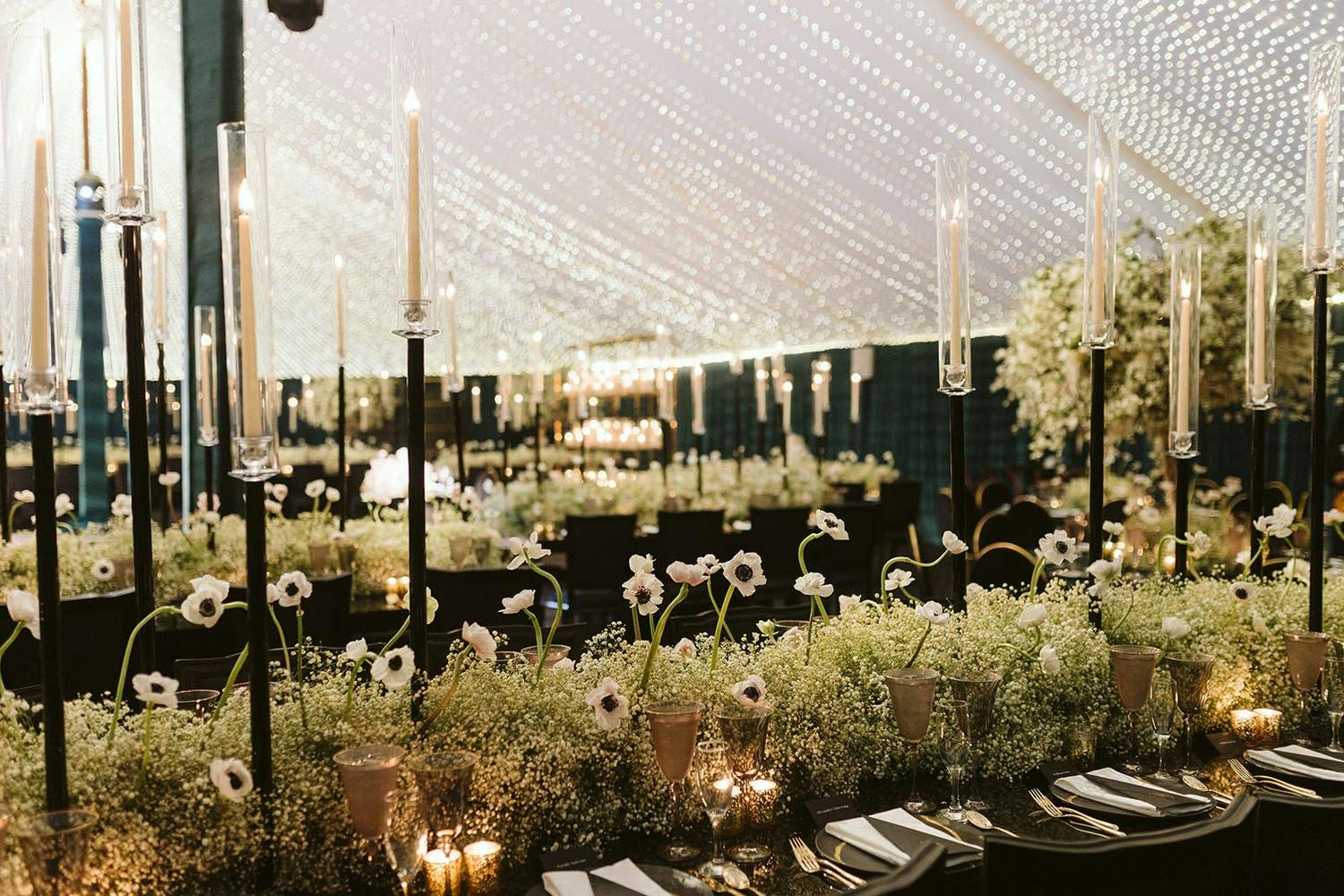 Canopy tent with string lights | PartySlate
