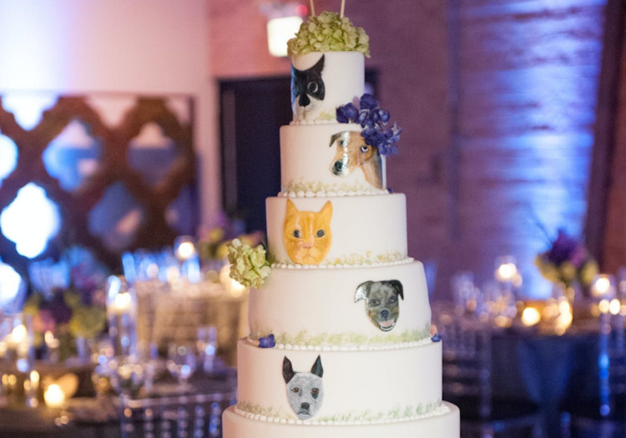 white wedding cake with each layer featuring a drawing of an animal face | PartySlate