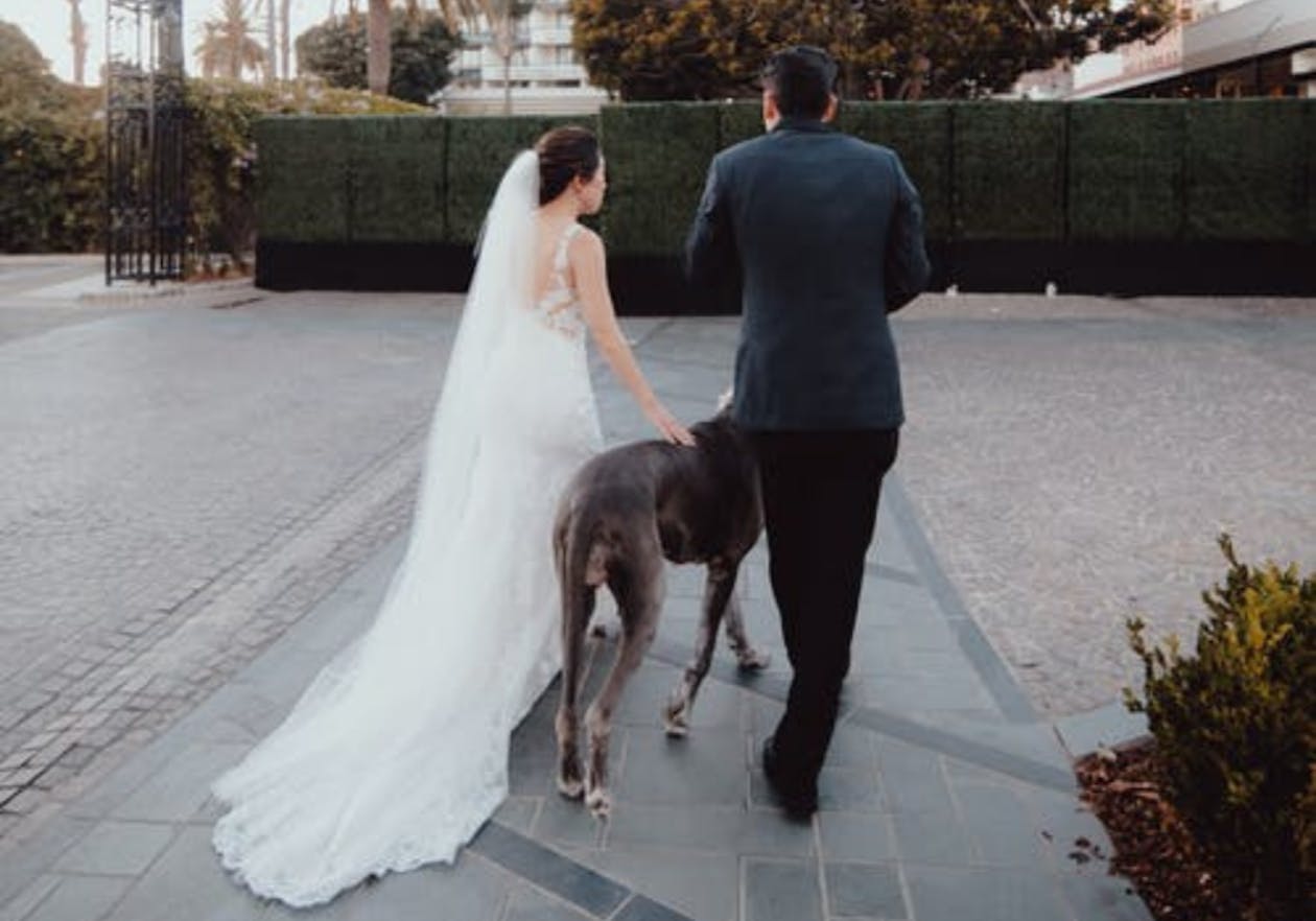 bride and groom walking away from wedding with dog | PartySlate
