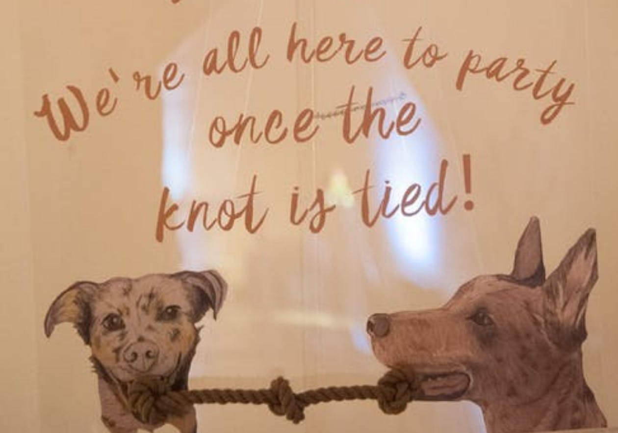 wedding sign with two dogs tugging a rope with a knot | PartySlate