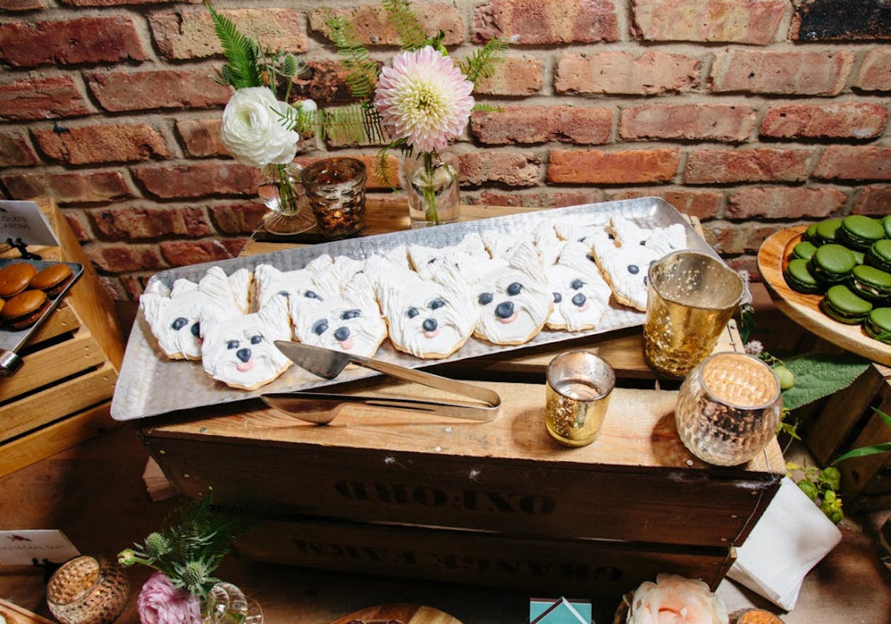 iced cookies decorated like white dogs at wedding | PartySlate