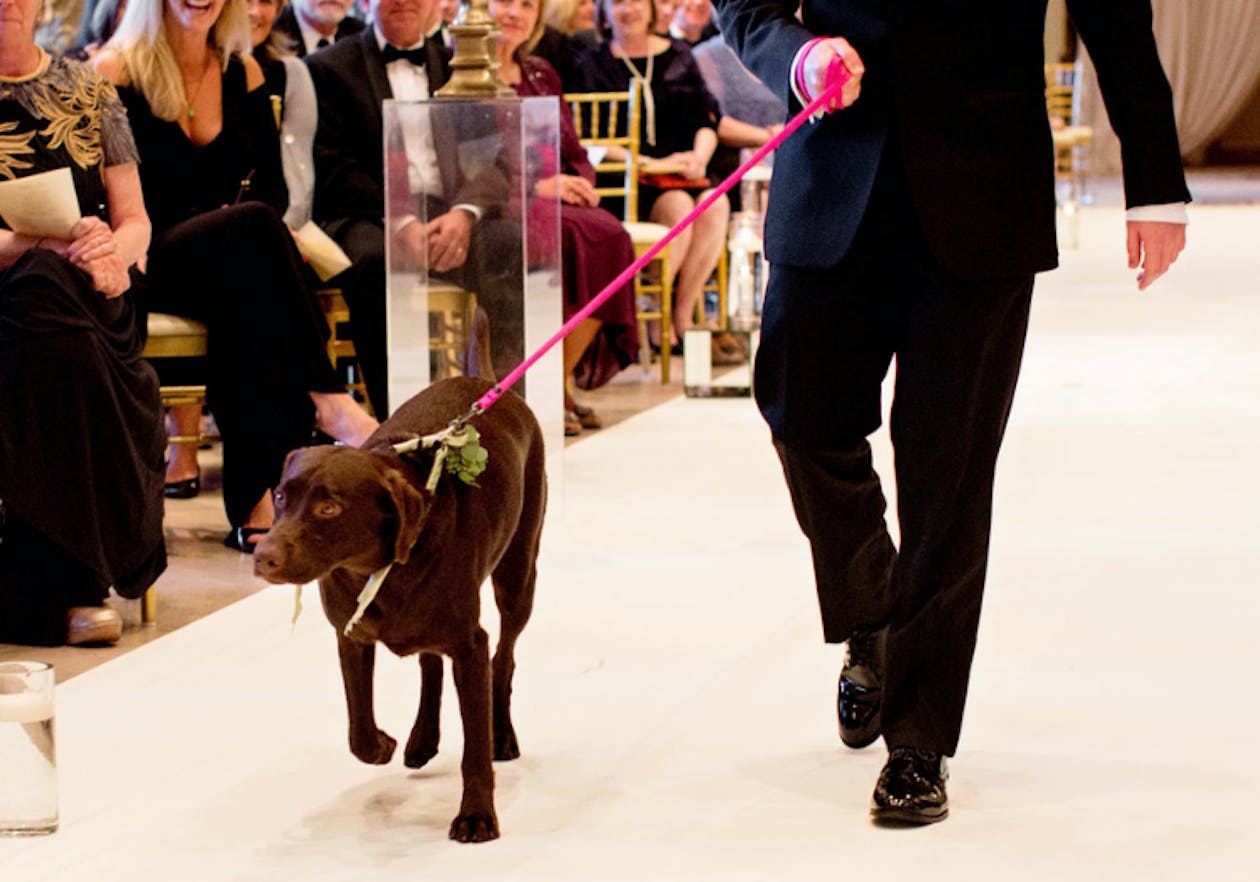 man in tuxedo walking dog down aisle at wedding | PartySlate