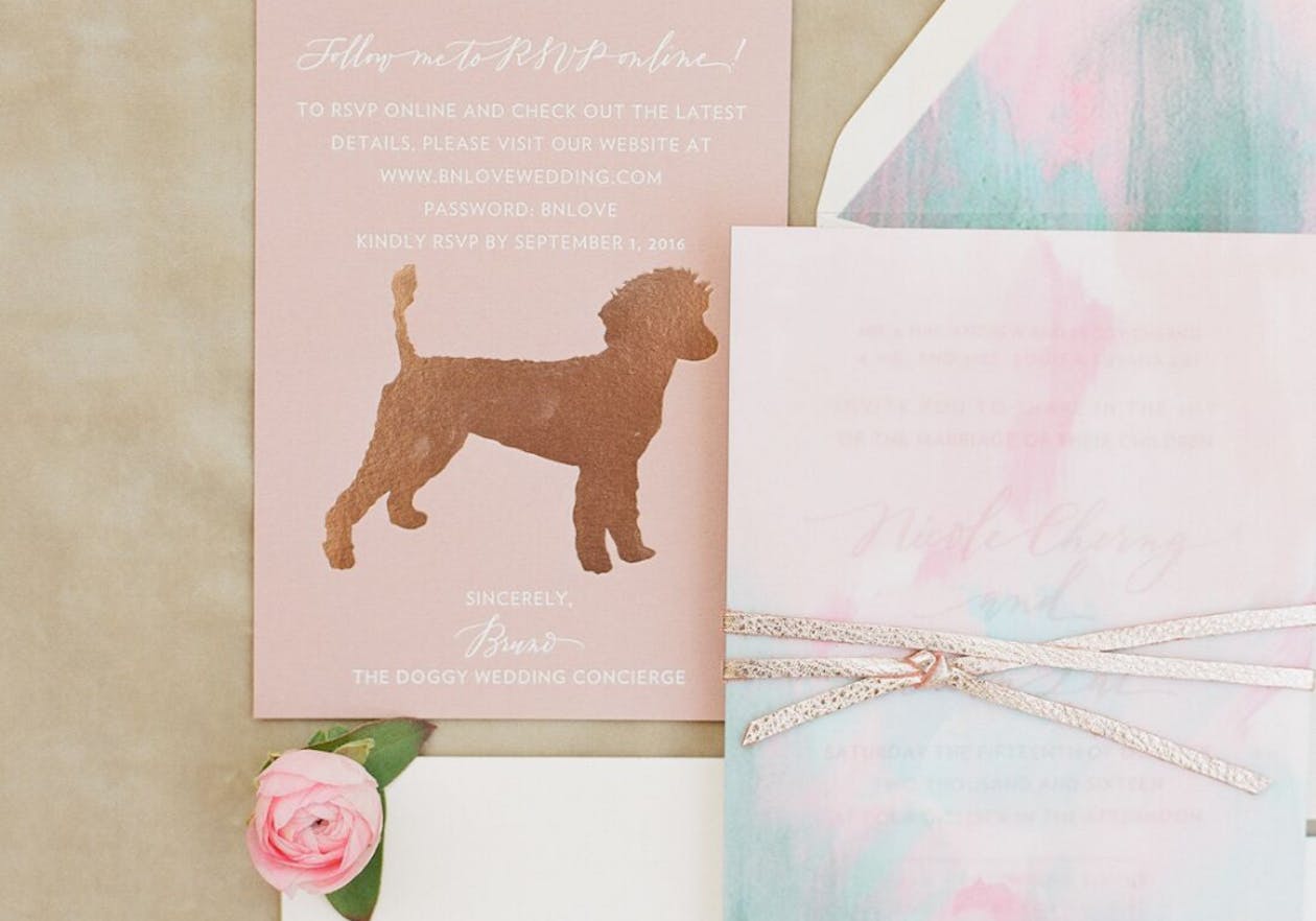 wedding invitation with gold foil dog image | PartySlate