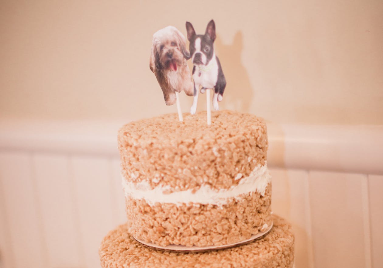 rice crispy treat wedding cake with dog photo toppers | PartySlate