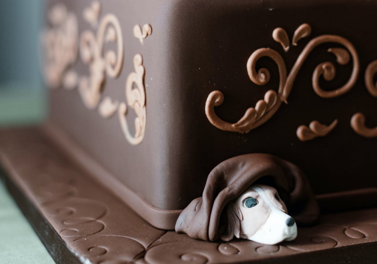 dark chocolate wedding cake with gold filigree and dog figure peeping out | PartySlate