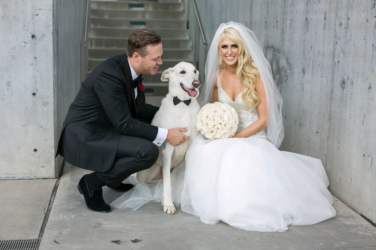 bride and groom posing on cement stairs with dog | PartySlate