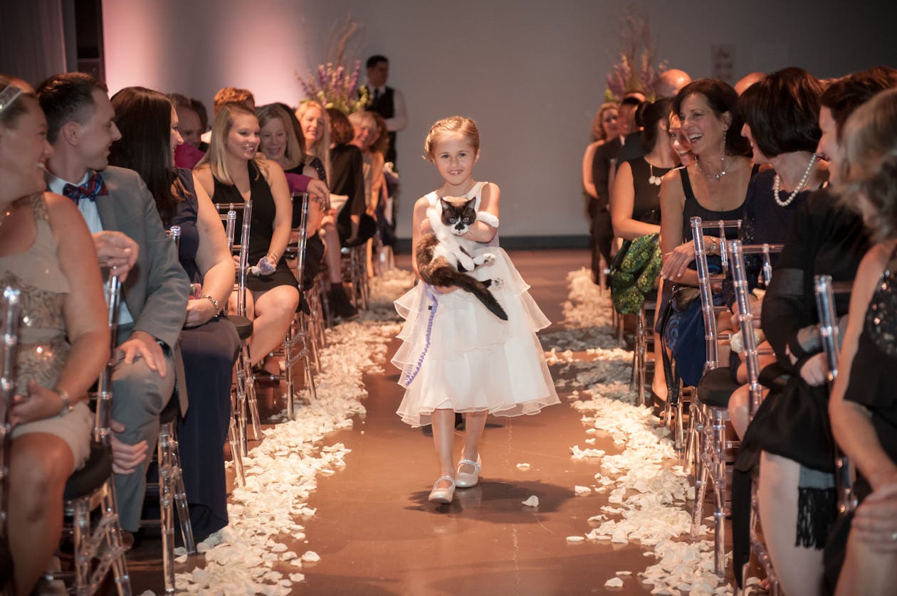 wedding flower girl carrying cat down the aisle | PartySlate
