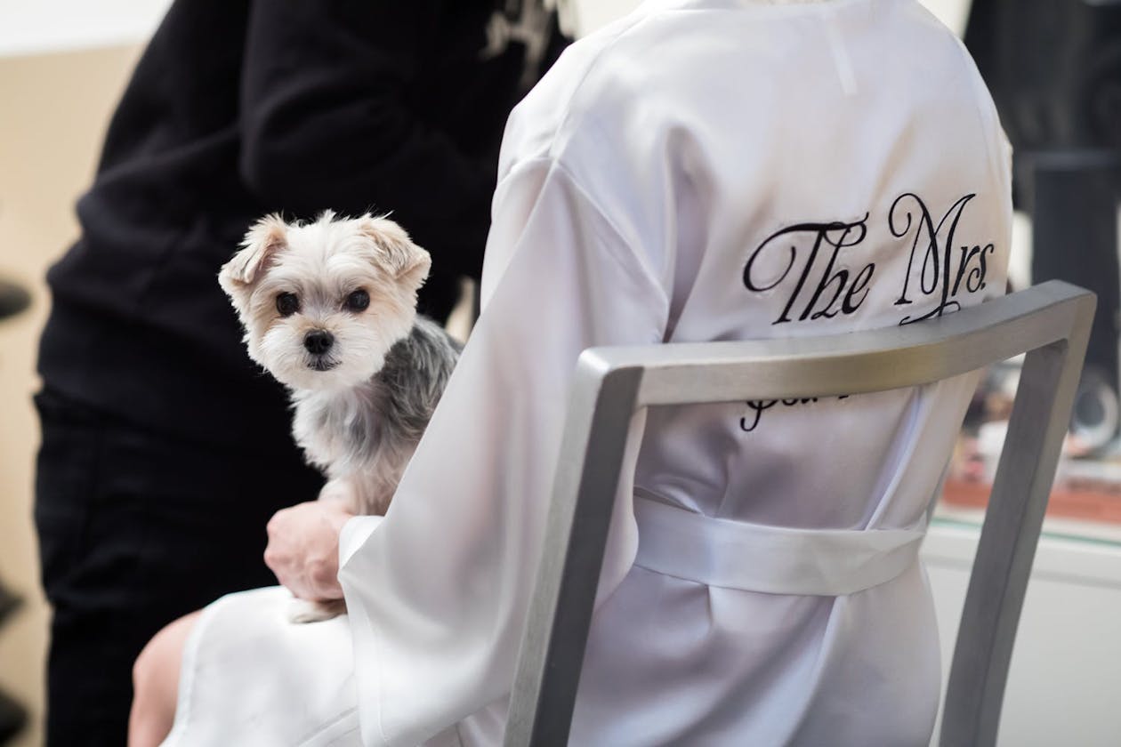 dog on lap peering around owners back before wedding | PartySlate