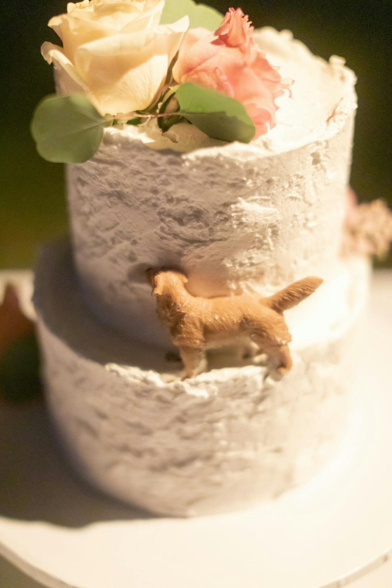 white wedding cake with dog figure standing on tier | PartySlate