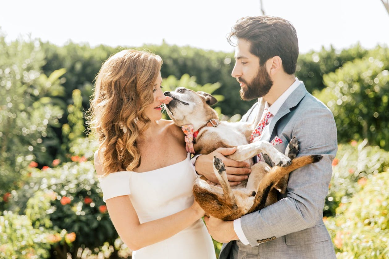 couple holding dog licking bride's face | PartySlate