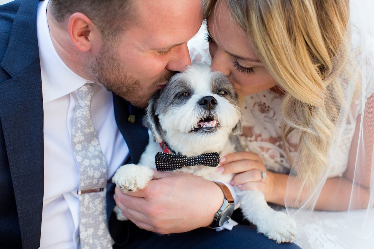 bride and groom kissing dog between them | PartySlate
