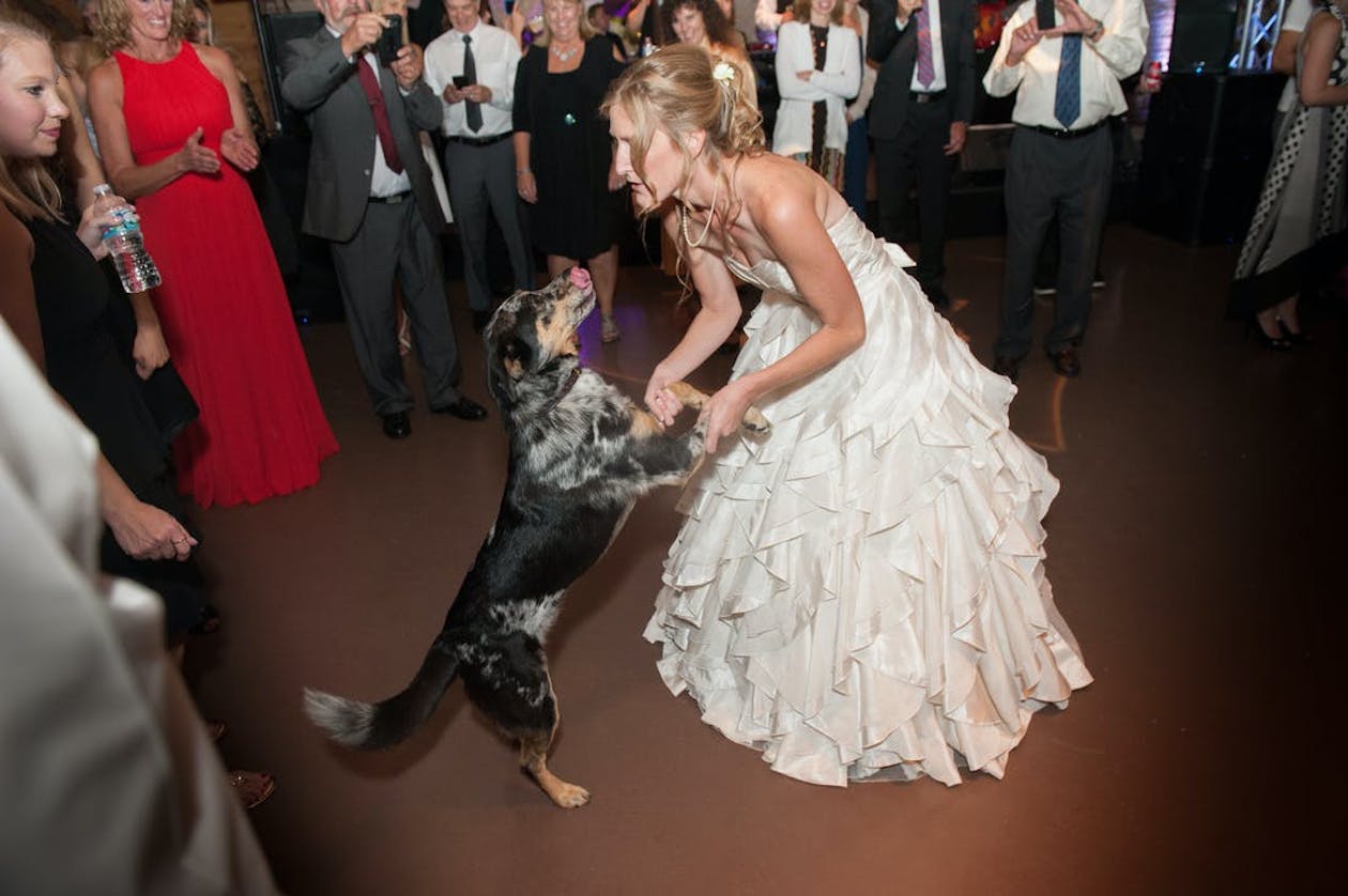 bride on dance floor with dog surrounded by guests | PartySlate